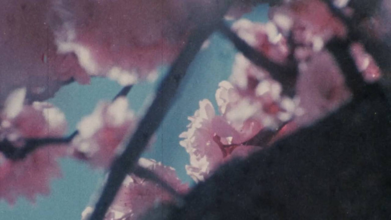 кадр из фильма Triste