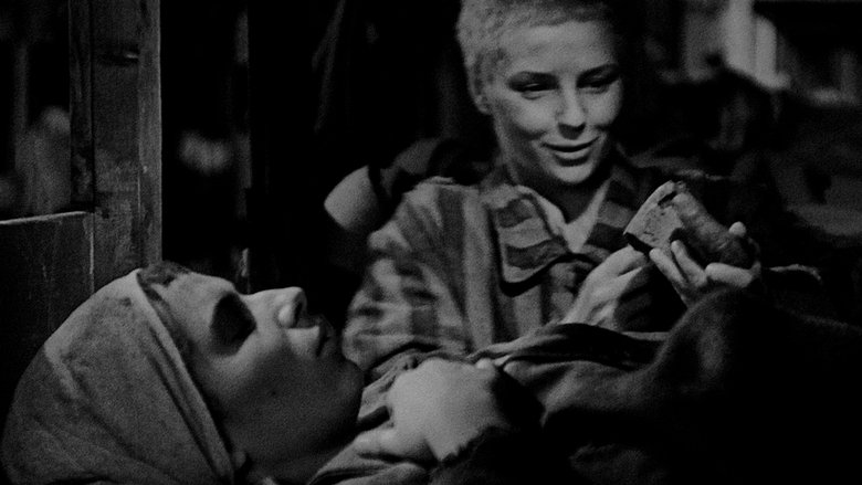 кадр из фильма Последний этап