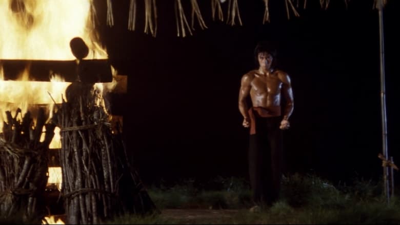 кадр из фильма Ниндзя сегуна