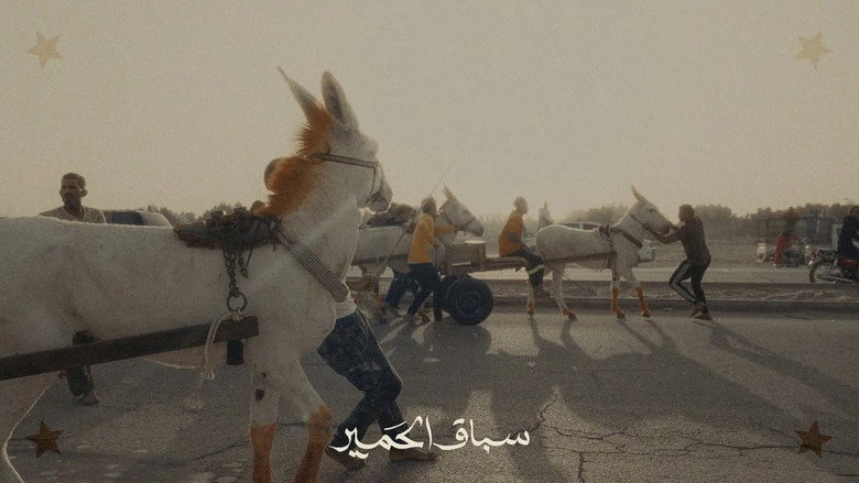 سباق الحمير