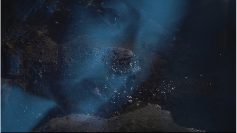 кадр из фильма Selva Oscura