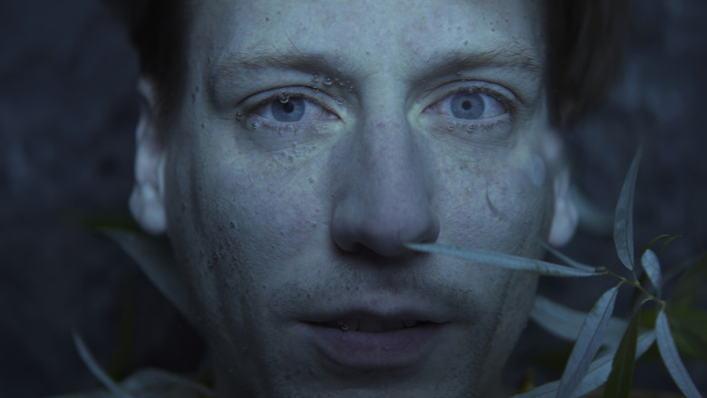 кадр из фильма Собаки не носят штанов