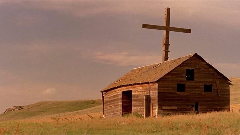 Зеркальная кожа