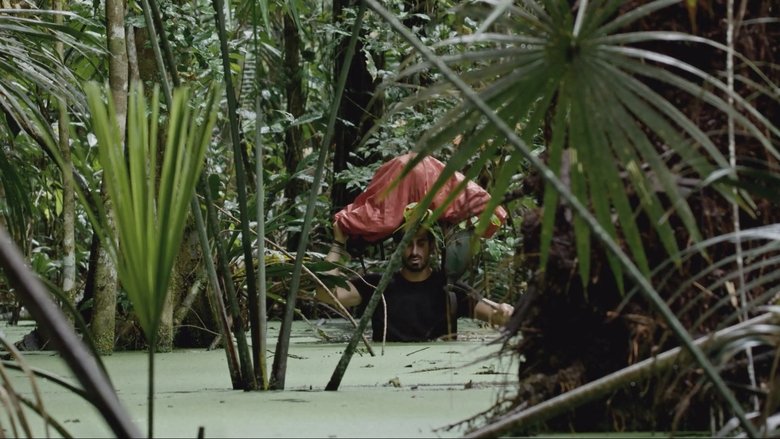 кадр из фильма Dark Green