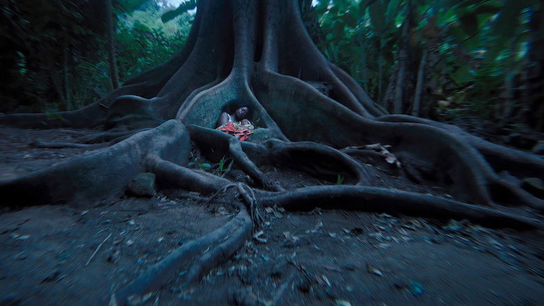 кадр из фильма Muganga - Celui qui soigne