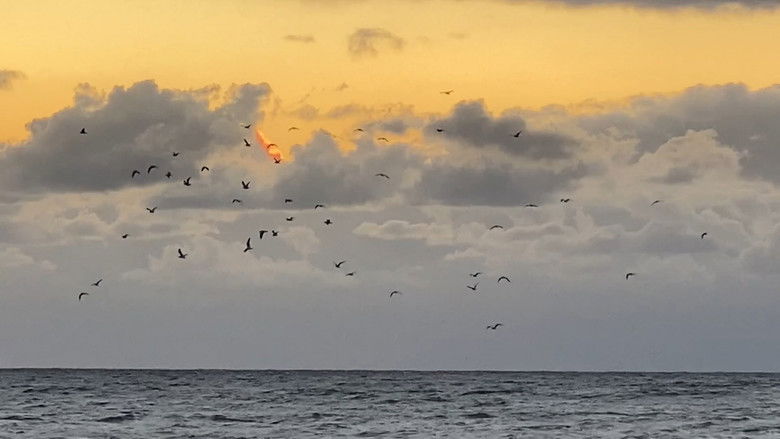 кадр из фильма Закрытие