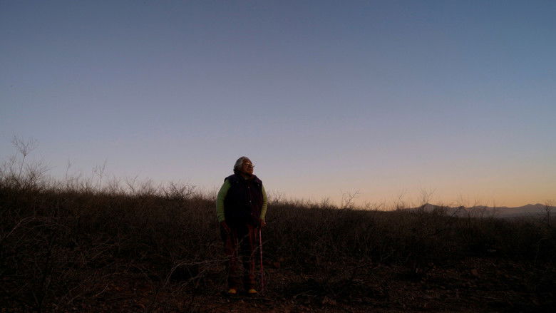 Te sueño y no estás