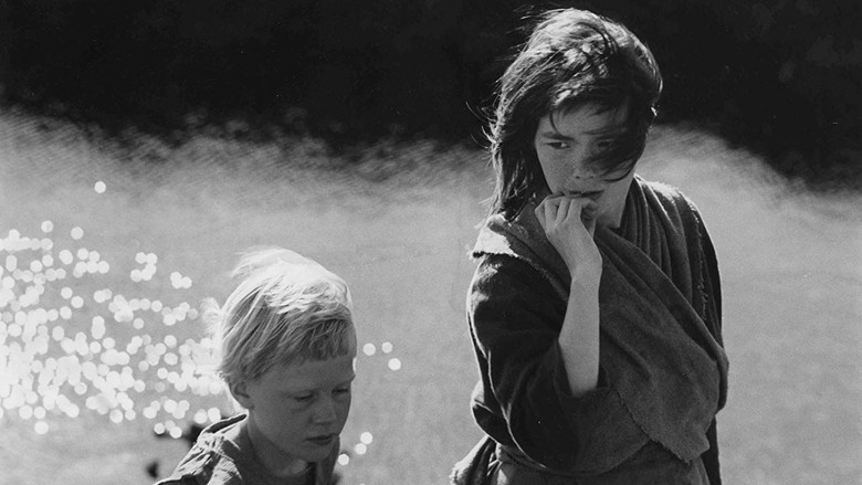 кадр из фильма Можжевеловое дерево