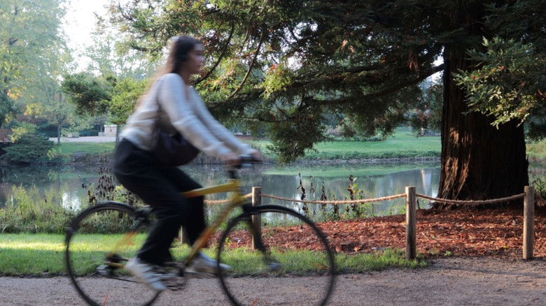 кадр из фильма Déjeuner de Soleil