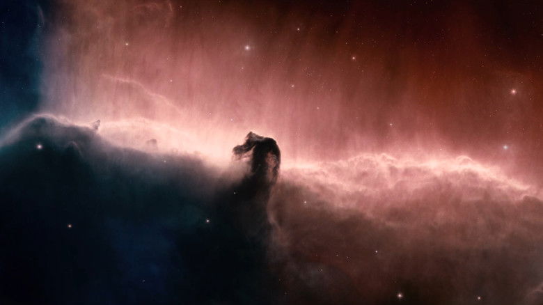 кадр из фильма Древо жизни