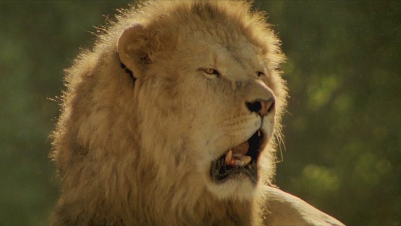 кадр из фильма Рев