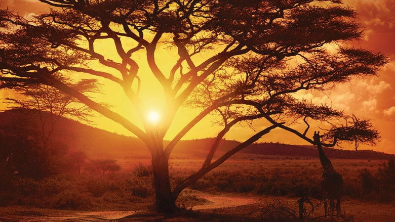 кадр из фильма Нигде в Африке