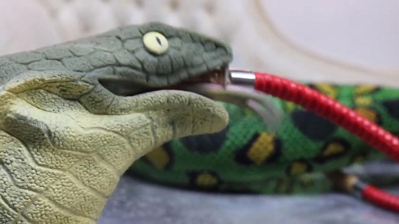 кадр из фильма Stoner Snakes