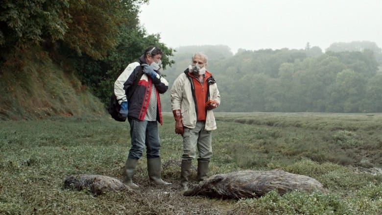 кадр из фильма Зеленые водоросли