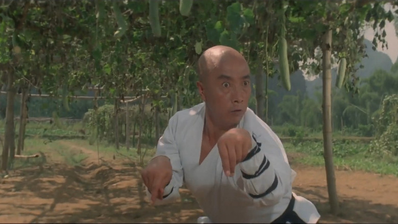 кадр из фильма Храм Шаолинь 3: Боевые искусства Шаолиня