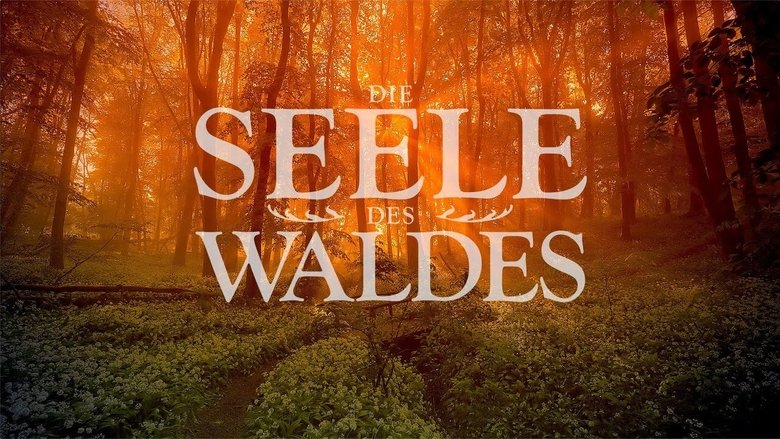 кадр из фильма Die Seele des Waldes