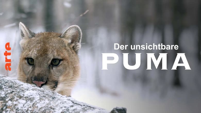 кадр из фильма Puma, le fantôme du Gévaudan