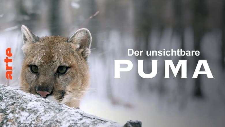 кадр из фильма Puma, le fantôme du Gévaudan