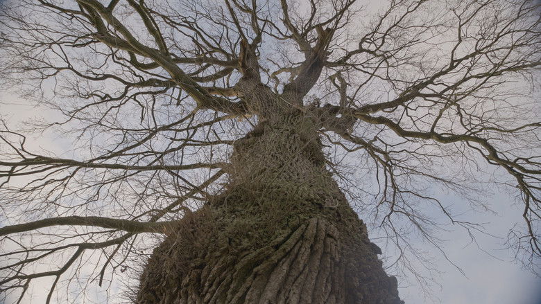 кадр из фильма Schatten im Haus