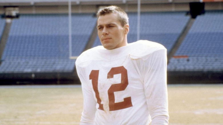 кадр из фильма The Bear