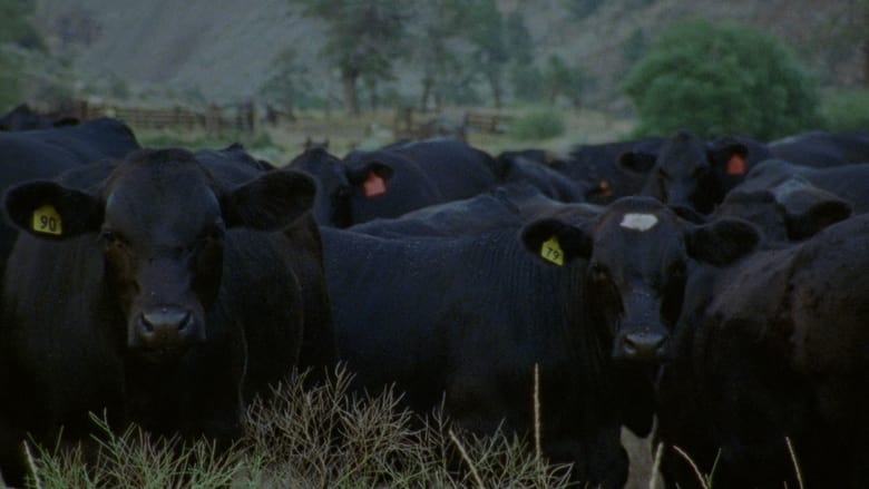 кадр из фильма A Forgotten Place