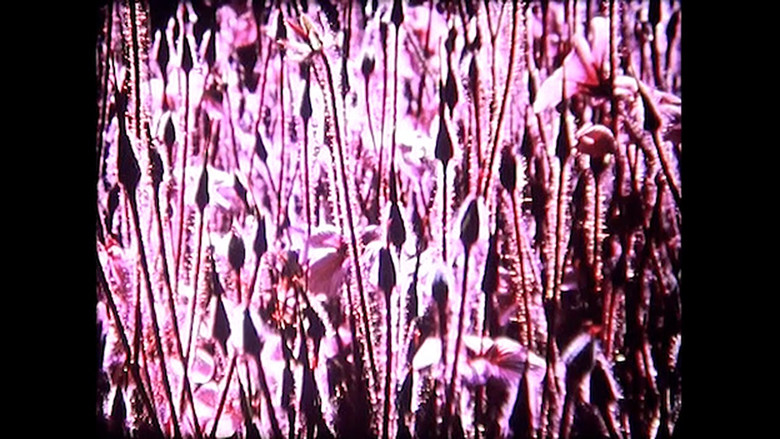 кадр из фильма Compline