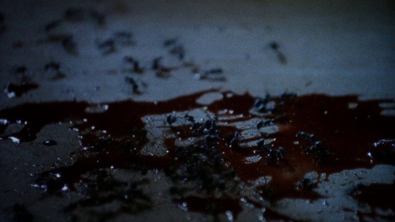 кадр из фильма Похороненный заживо