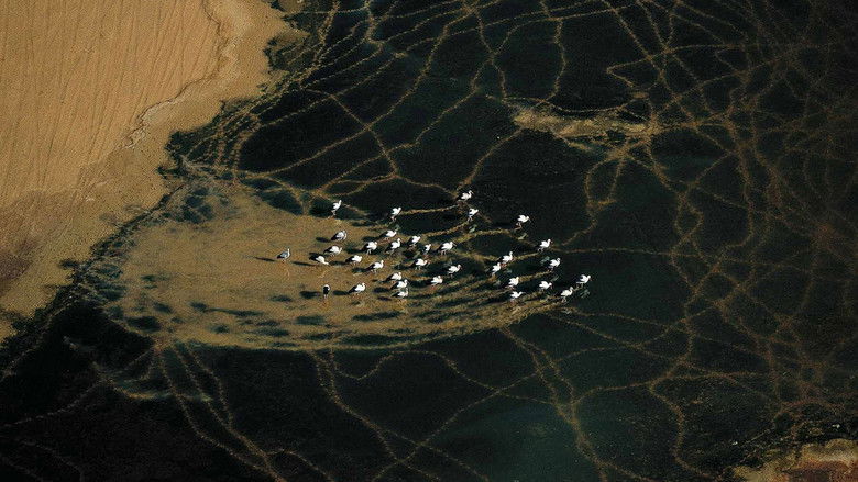 кадр из фильма L'Algérie Vue Du Ciel