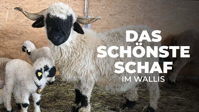 кадр из фильма Das schönste Schaf im Wallis