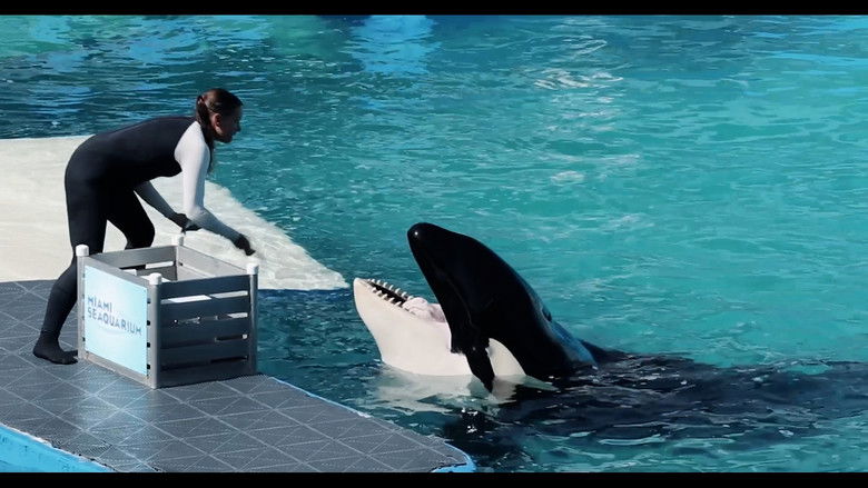 кадр из фильма The Snake and the Whale