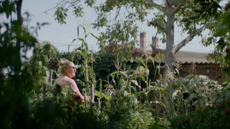 кадр из фильма Rodakis'i Ararken