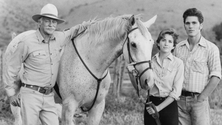 кадр из фильма Sylvester