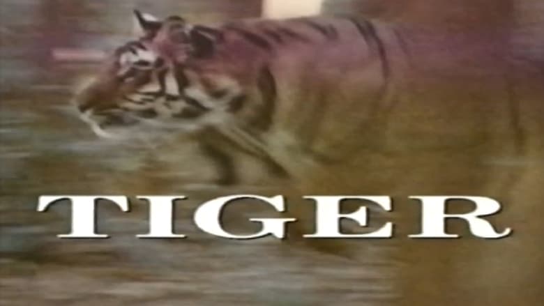 кадр из фильма Predators of the Wild: Tiger