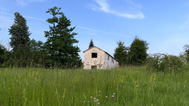 кадр из фильма Mumble 3/4 - A la recherche de Morin