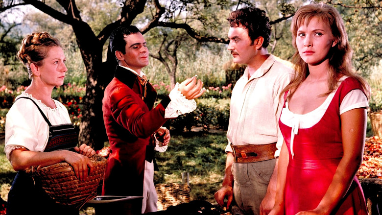 Наследство казначея Стамбула