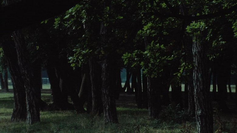 кадр из фильма Le Navire Night