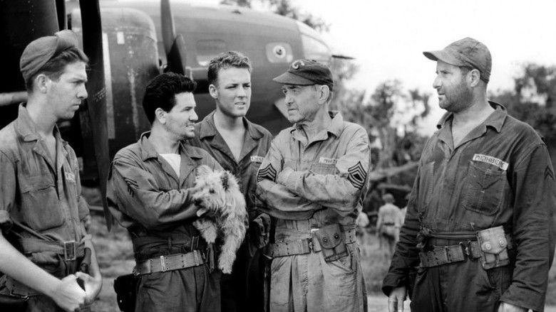 кадр из фильма Военно-воздушные силы