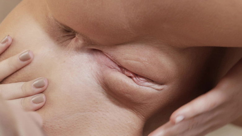 кадр из фильма The Joy of Anal Pleasure