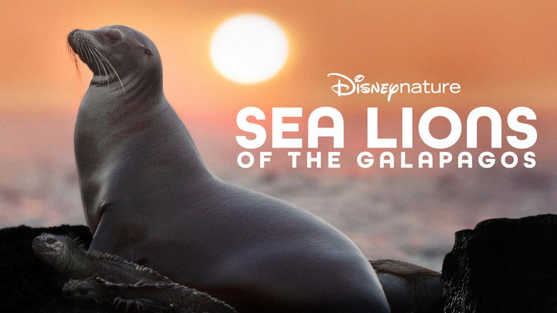 кадр из фильма Sea Lions of the Galapagos