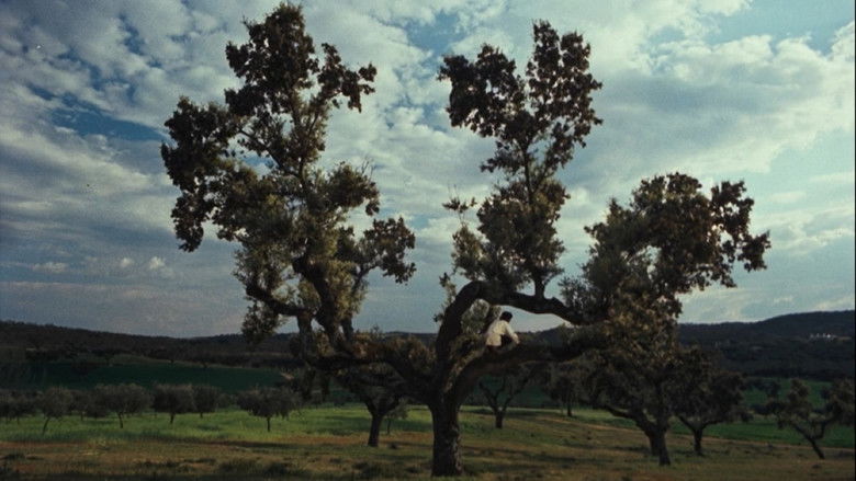 кадр из фильма Veredas