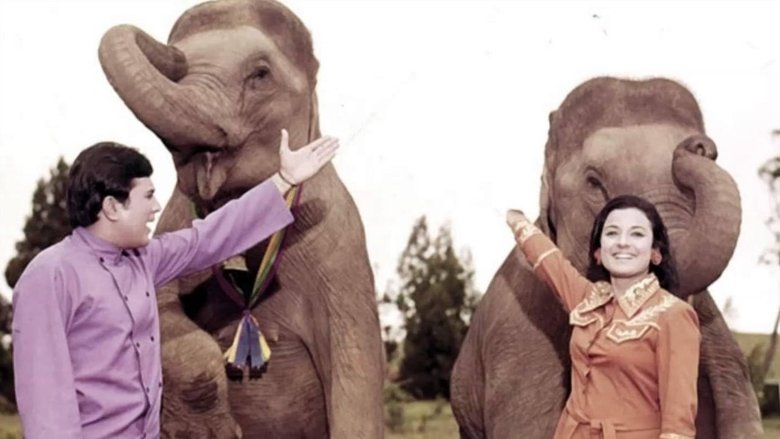 кадр из фильма Слоны – мои друзья