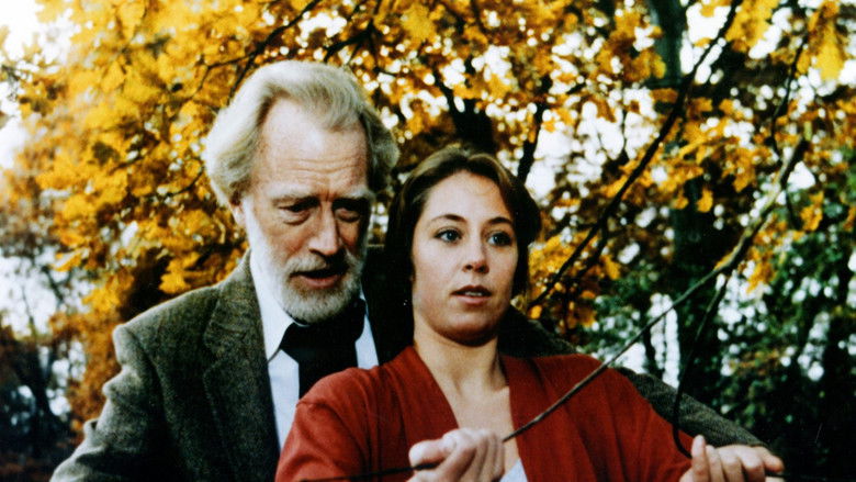 кадр из фильма The Silent Touch