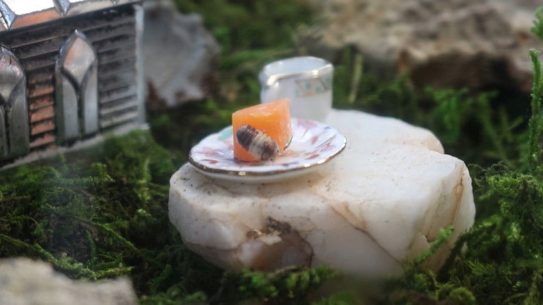 кадр из фильма Unboxing