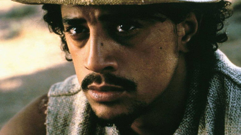 кадр из фильма Экспресс в Марракеш