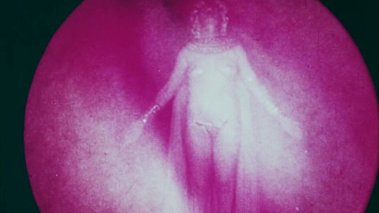 кадр из фильма Psyched by the 4D Witch (A Tale of Demonology)