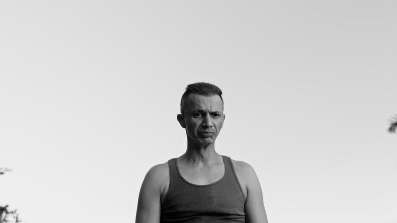 кадр из фильма La sinfonía del sandwich