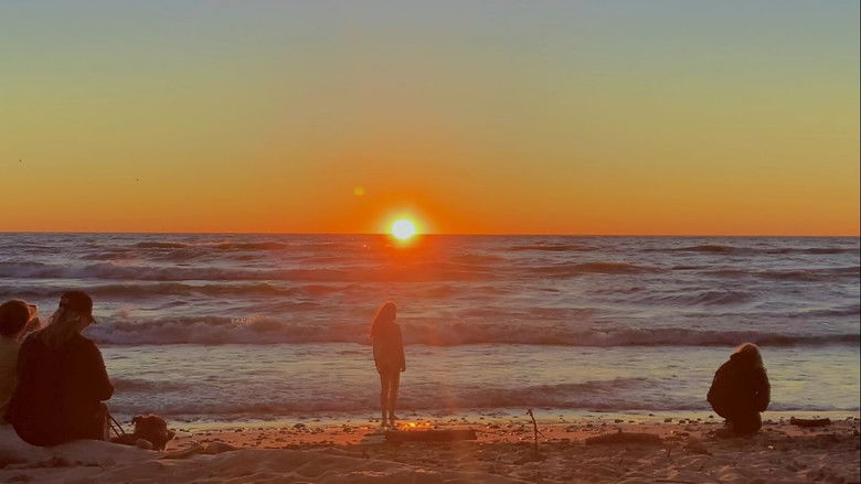 кадр из фильма daydream