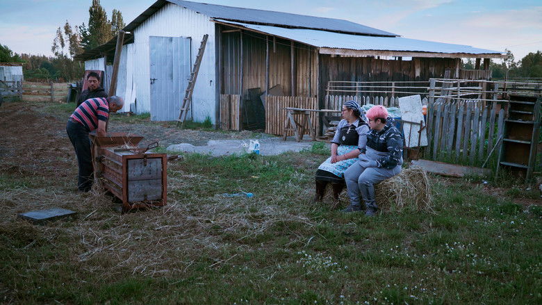 кадр из фильма La búsqueda del otro