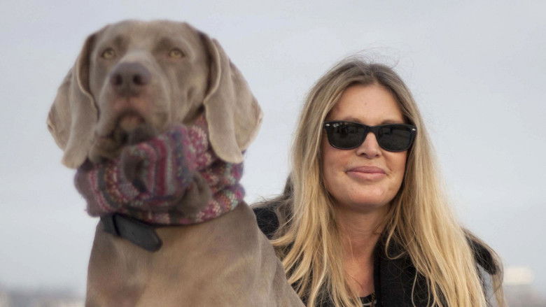 кадр из фильма Walking with Dogs: A Wonderland Special