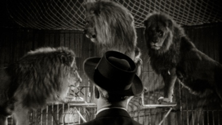 кадр из фильма Keine Angst vor großen Tieren